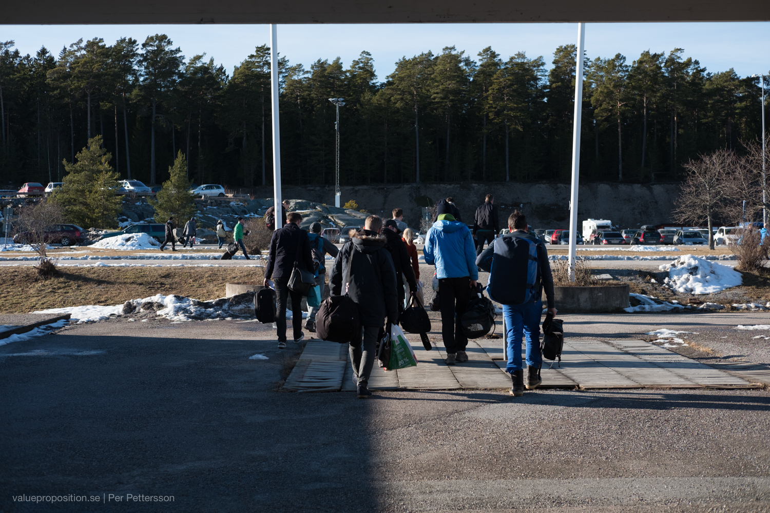 Curredutter på väg hem från skärgården